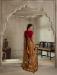 Picture of Beautiful Organza Sienna Saree