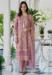 Picture of Shapely Organza Dim Gray Straight Cut Salwar Kameez