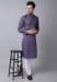 Picture of Amazing Cotton Steel Blue Kurtas