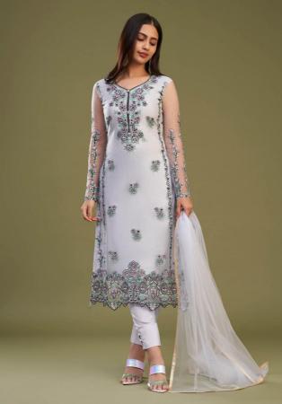 Picture of Ravishing Net Silver Straight Cut Salwar Kameez