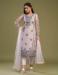 Picture of Superb Net Thistle Straight Cut Salwar Kameez