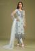 Picture of Net Dark Sea Green Straight Cut Salwar Kameez