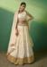 Picture of Sublime Georgette Wheat Lehenga Choli