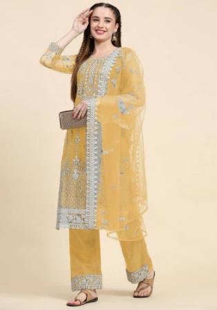 Picture of Appealing Net Khaki Straight Cut Salwar Kameez