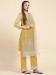 Picture of Appealing Net Khaki Straight Cut Salwar Kameez