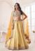 Picture of Ravishing Net Peru Lehenga Choli