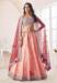 Picture of Nice Net Dark Salmon Lehenga Choli