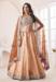 Picture of Taking Net Beige Lehenga Choli