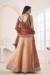 Picture of Taking Net Beige Lehenga Choli