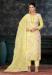 Picture of Fine Organza Khaki Straight Cut Salwar Kameez