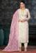 Picture of Elegant Organza Beige Straight Cut Salwar Kameez