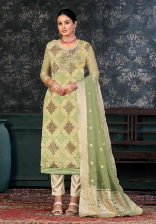 Picture of Organza Pale Green Straight Cut Salwar Kameez