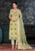 Picture of Organza Pale Green Straight Cut Salwar Kameez