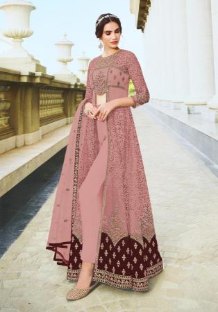 Picture of Sightly Net Tan Straight Cut Salwar Kameez