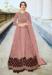 Picture of Appealing Net Tan Straight Cut Salwar Kameez