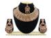 Picture of Beautiful Tan Necklace Set