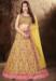 Picture of Charming Satin Khaki Lehenga Choli