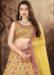 Picture of Charming Satin Khaki Lehenga Choli