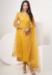 Picture of Ideal Net Sandy Brown Straight Cut Salwar Kameez