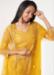 Picture of Ideal Net Sandy Brown Straight Cut Salwar Kameez