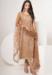 Picture of Magnificent Net Tan Straight Cut Salwar Kameez