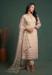 Picture of Beautiful Net Beige Straight Cut Salwar Kameez