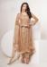 Picture of Elegant Net Tan Straight Cut Salwar Kameez