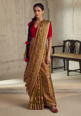 Picture of Beautiful Organza Sienna Saree