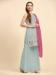 Picture of Georgette Gainsboro Straight Cut Salwar Kameez