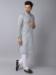 Picture of Delightful Cotton Ghost White Kurtas