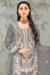 Picture of Ideal Organza Grey Straight Cut Salwar Kameez