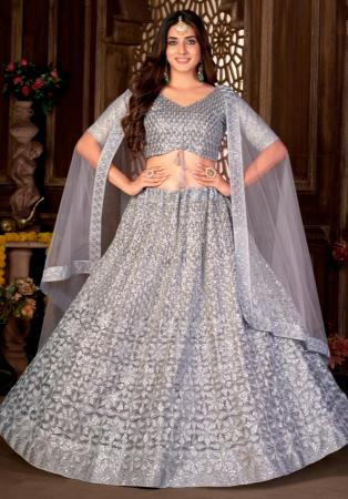 Picture of Fine Net Grey Lehenga Choli