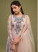 Picture of Stunning Net Tan Straight Cut Salwar Kameez