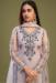 Picture of Superb Net Thistle Straight Cut Salwar Kameez