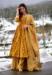 Picture of Stunning Chiffon Peru Readymade Salwar Kameez