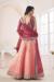 Picture of Nice Net Dark Salmon Lehenga Choli