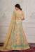 Picture of Elegant Georgette & Net Tan Lehenga Choli