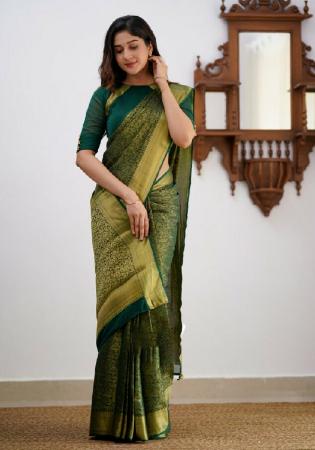 Picture of Lovely Silk Dark Khaki Saree