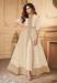 Picture of Alluring Georgette & Net Tan Anarkali Salwar Kameez