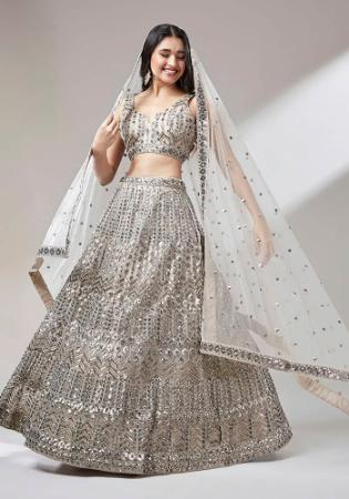 Picture of Excellent Net Beige Lehenga Choli