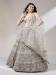 Picture of Excellent Net Beige Lehenga Choli