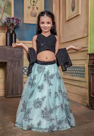 Picture of Gorgeous Organza Light Steel Blue Kids Lehenga Choli