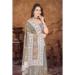 Picture of Taking Organza Grey Saree