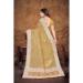 Picture of Lovely Organza Peru Saree