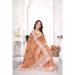 Picture of Nice Organza Indian Red Saree