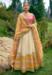 Picture of Lovely Silk Tan Lehenga Choli