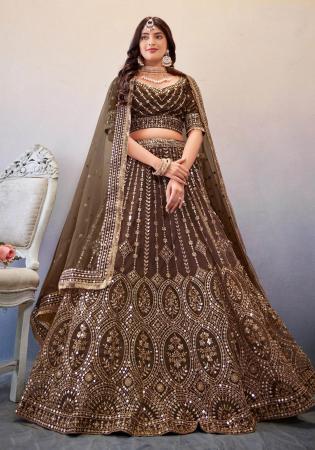 Picture of Nice Net Brown Lehenga Choli