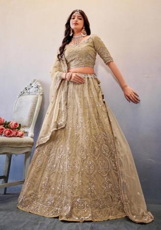 Picture of Radiant Net Tan Lehenga Choli