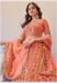 Picture of Exquisite Net Coral Lehenga Choli