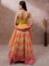 Picture of Exquisite Organza Sienna Lehenga Choli